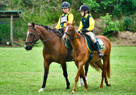 horseback-riding-6393239_1280.jpg