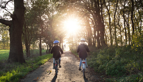 bike helmet certification.jpg
